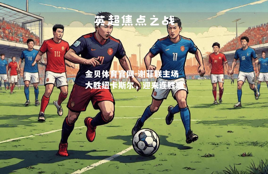 谢菲联主场大胜纽卡斯尔，迎来连胜期